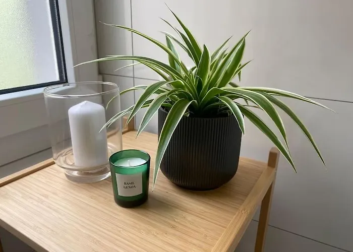 Modernes City Apartment, Zentral